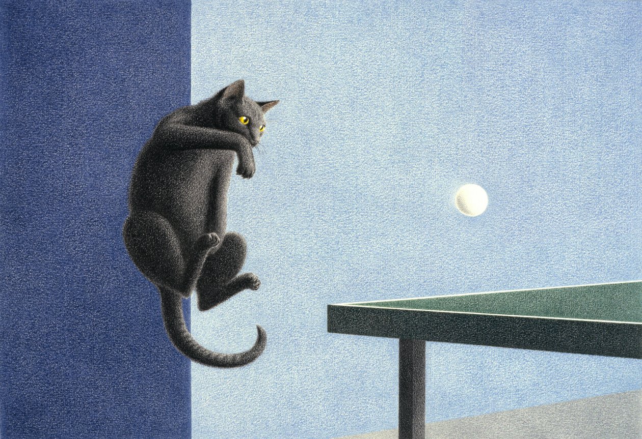 ping pong alkotó: Rene Boin