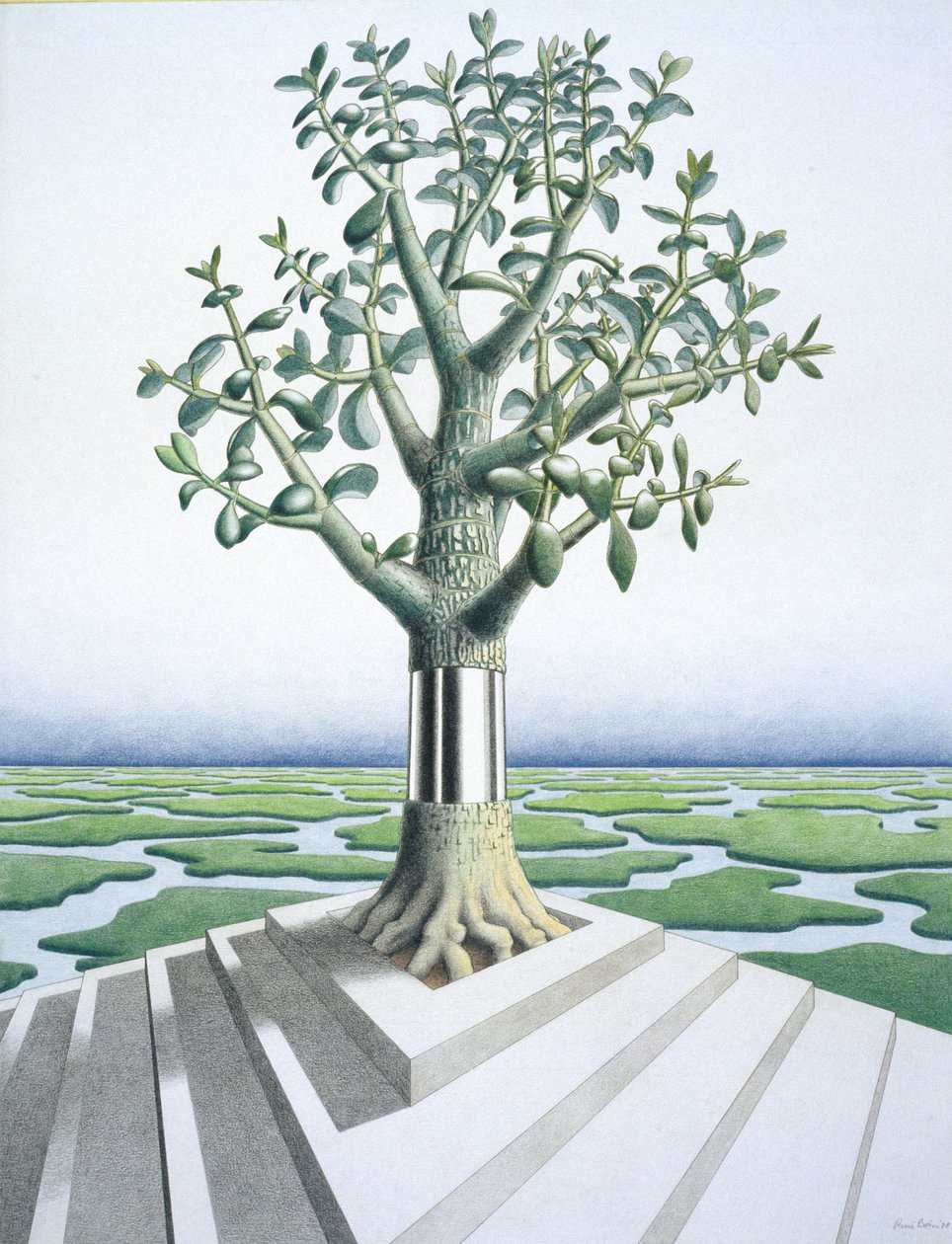 Nedvdús alkotó: Rene Boin