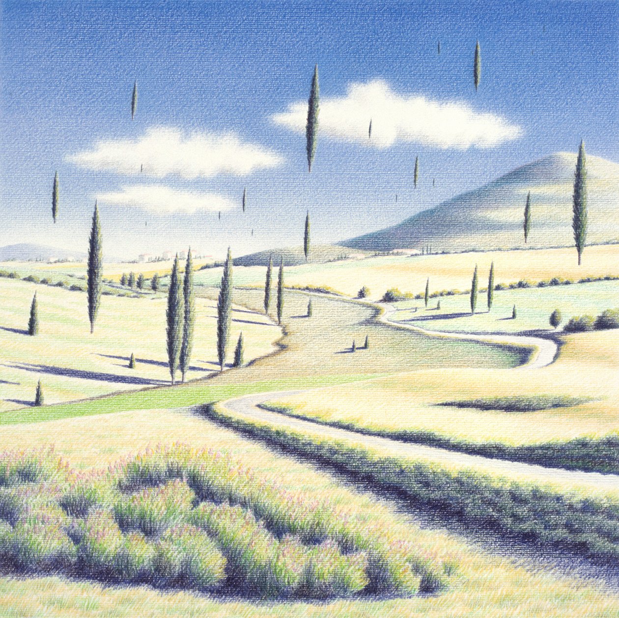 Toszkán fák, 2005, Színes ceruzarajz papírra alkotó: Rene Boin