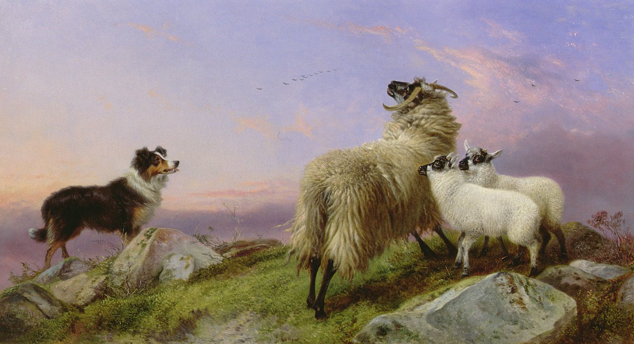 Collie, anyajuh és bárány alkotó: Richard Ansdell