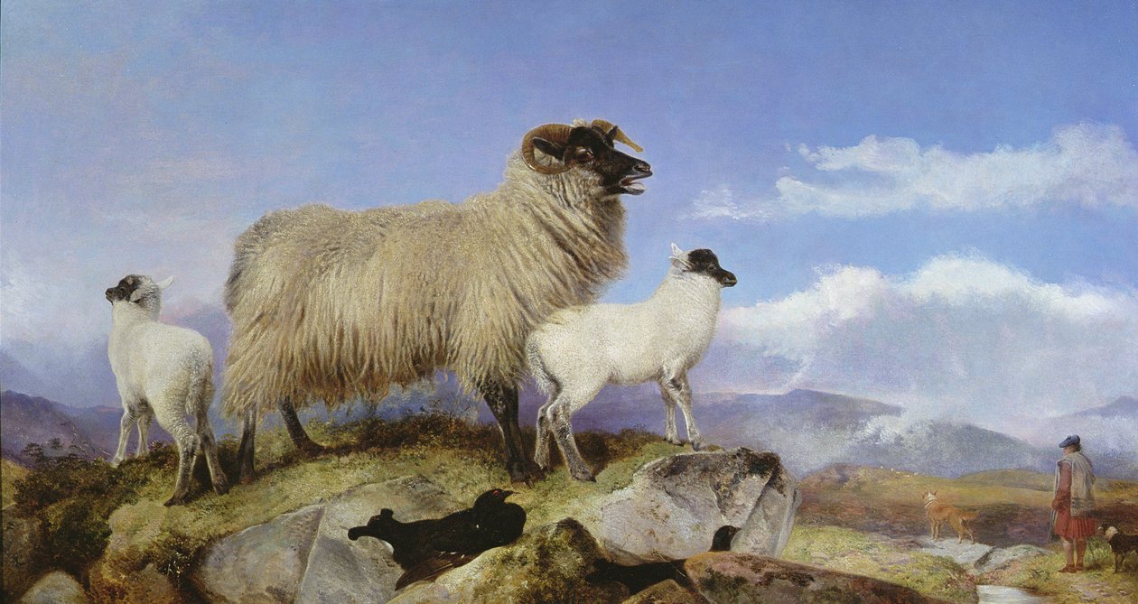 Anyajuh és bárány alkotó: Richard Ansdell