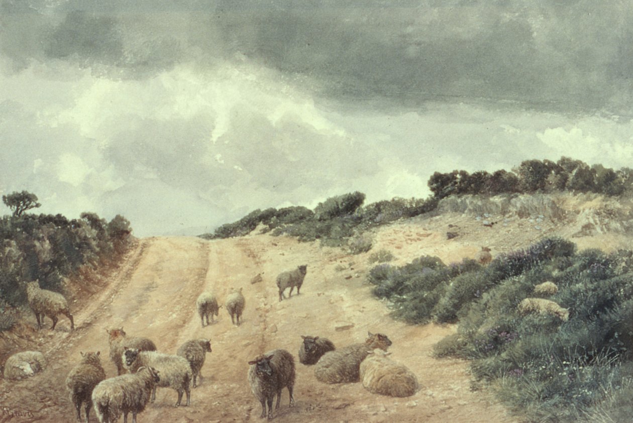 Birkák a Surrey Hills-en alkotó: Richard Beavis