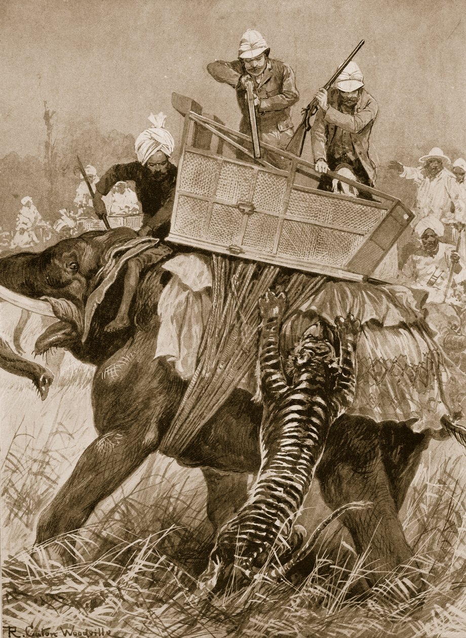 A walesi herceg látogatása Indiában, 1876: A herceg elefántja egy tigris által a nepáli terain, február 21., a „The Illustrated London News”, 1901. alkotó: Richard Caton Woodville
