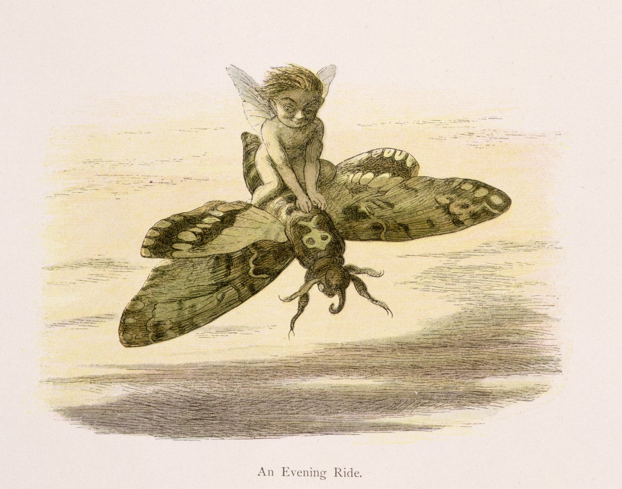 Egy esti lovaglás, illusztráció a "Tündérországban: A Series of Pictures from the Elf-World", William Allingham és Andrew Lang. alkotó: Richard Doyle