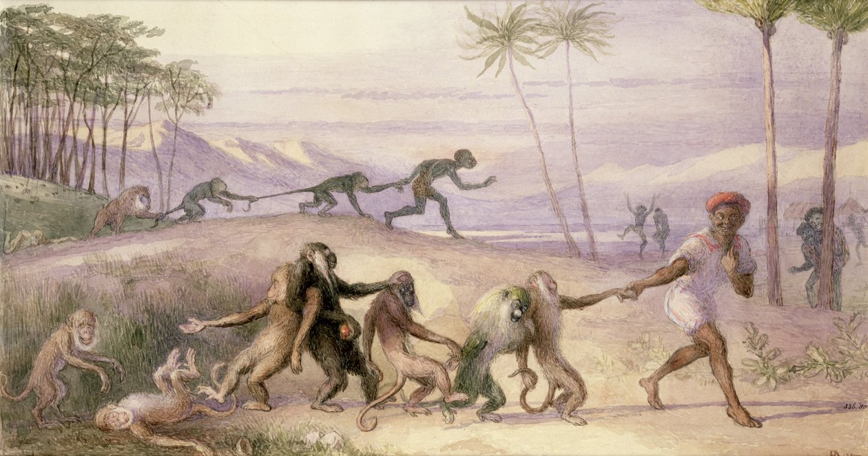A majmok modora és szokásai alkotó: Richard Doyle
