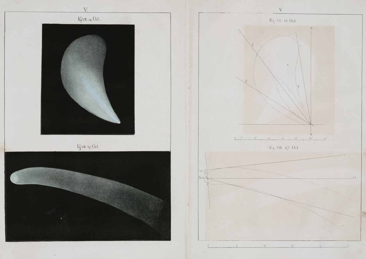 Halley-üstökös, 1835. október alkotó: John Pardon