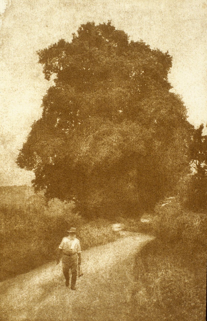 Surrey alkotó: John Pardon