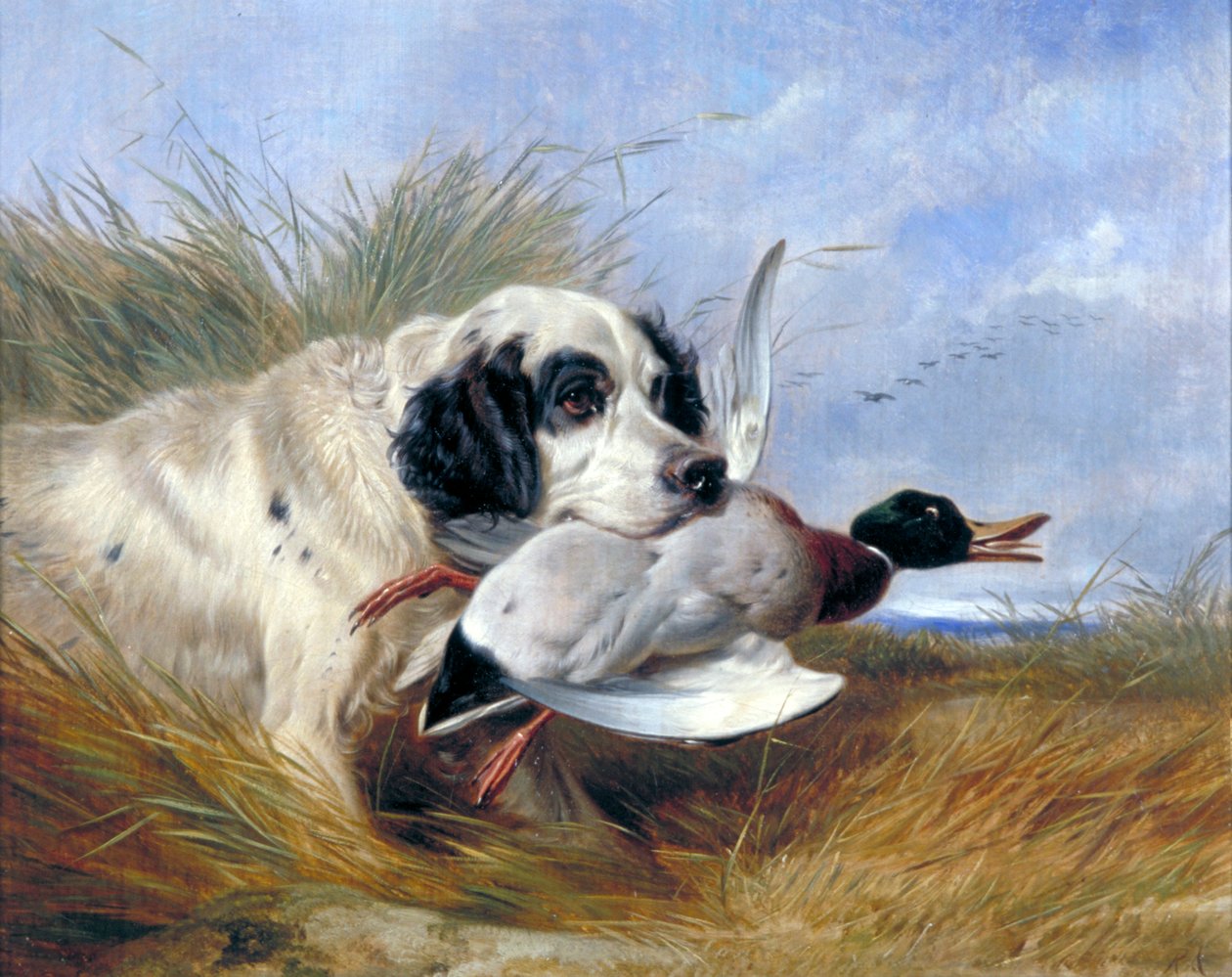 „Kutya vadkacsával”, 19. század alkotó: Richard Ansdell
