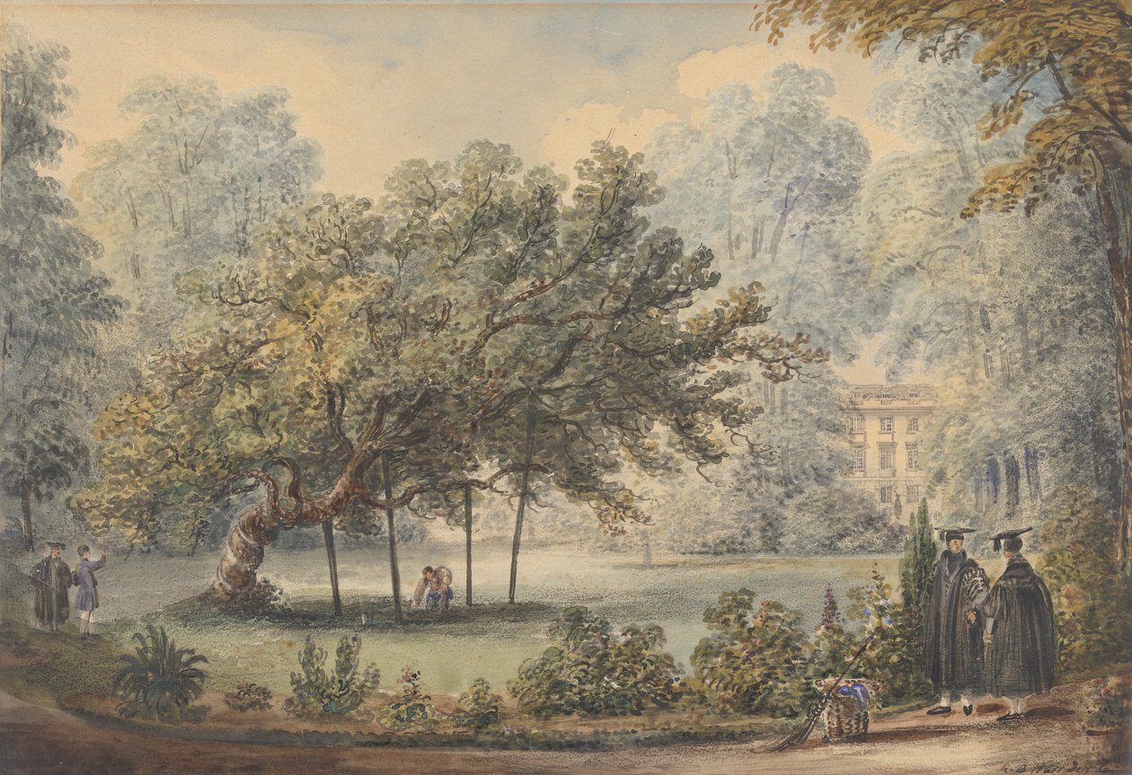 Milton Mulberry Tree, Christ
