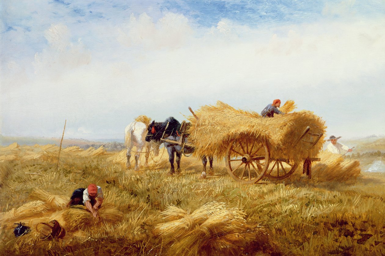 Betakarítás, Boulogne-sur-Mer közelében alkotó: Richard Beavis
