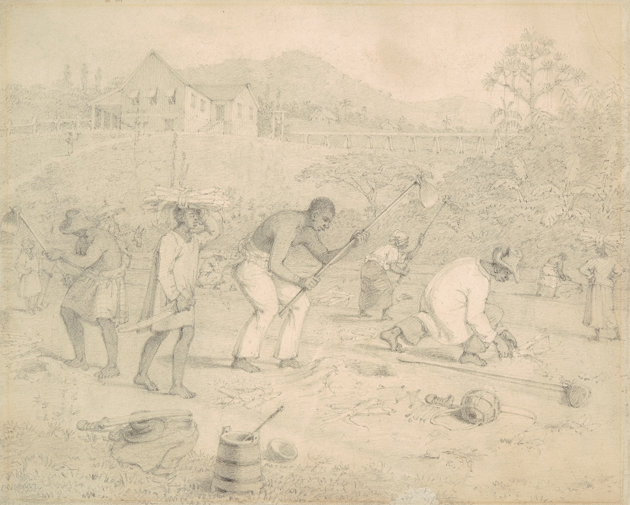 Cukornád ültetése (Trinidad) alkotó: Richard Bridgens