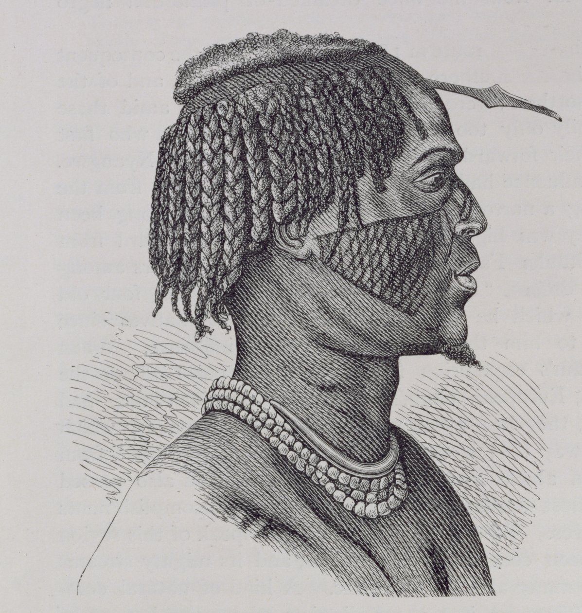 A Zandeh, "Az emberiség története" III. kötetéből, Friedrich Ratzel professzor, 1898 alkotó: Richard Buchta