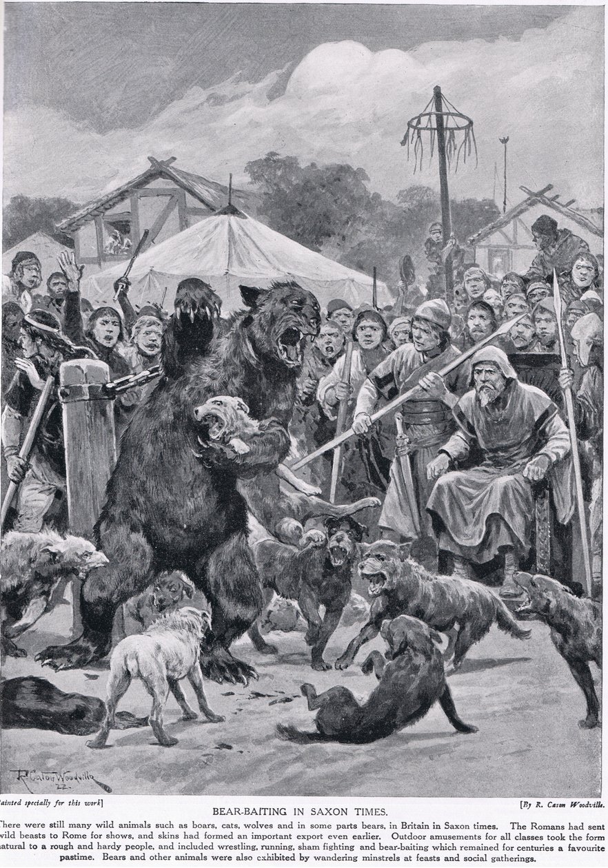 Medvecsalogatás a szász időkben, a "Hutchison