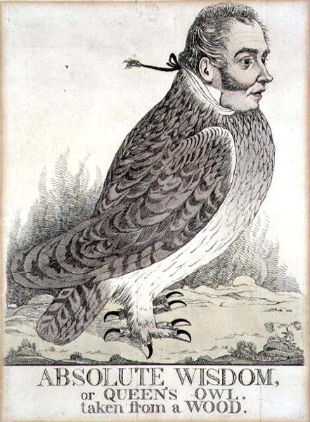 Abszolút bölcsesség, avagy a királynői bagoly egy erdőből (metszet) alkotó: Richard Dighton