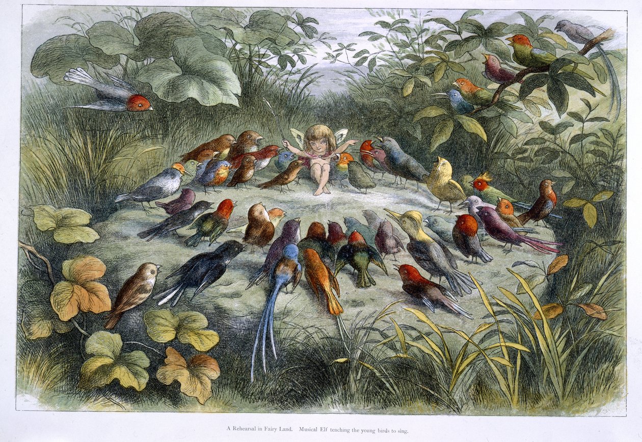 Elf és madarak alkotó: Richard Doyle