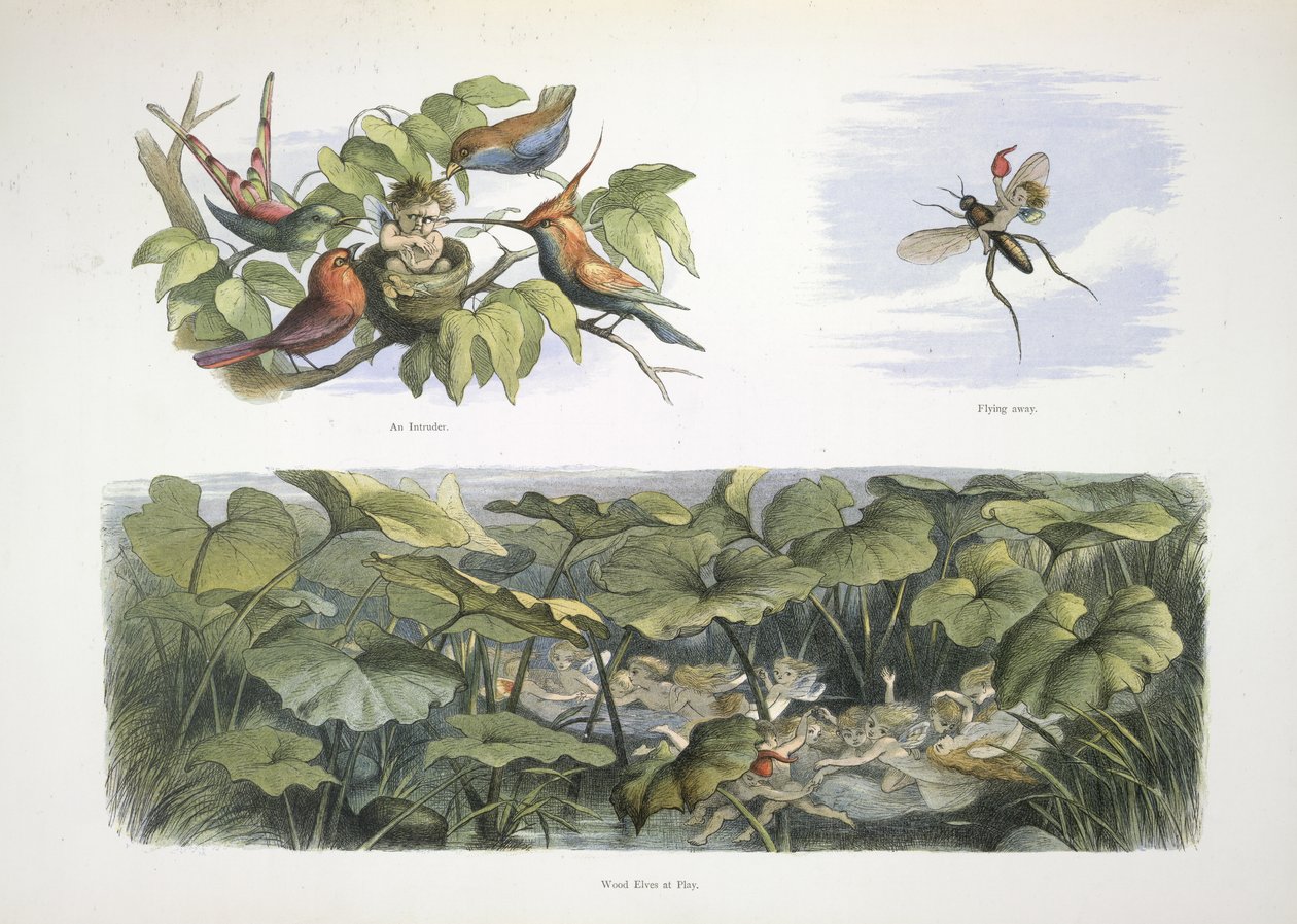 Elfek alkotó: Richard Doyle