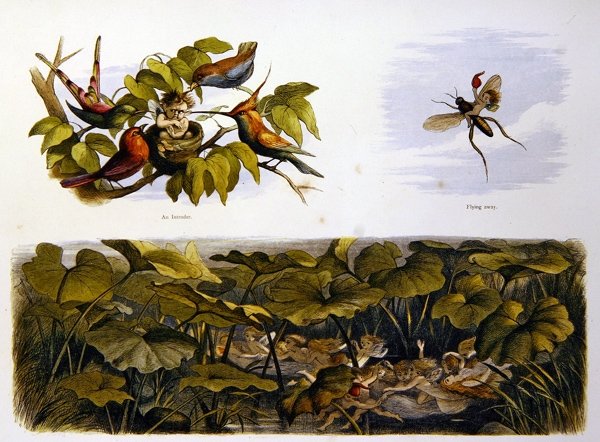 Tündérországban alkotó: Richard Doyle