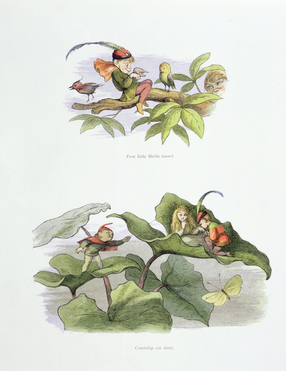 Szegény kis Madárka ugratott, és az udvarlás rövidre zárta William Allingham és Andrew Lang „Tündérországban: Képek sorozata az elf-világból” illusztrációit. alkotó: Richard Doyle