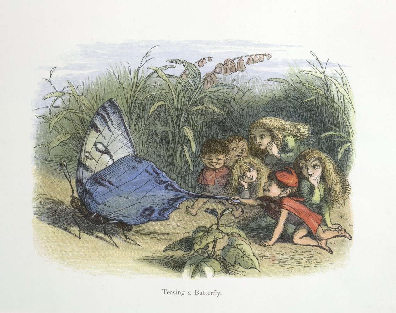 Pillangó ugratása alkotó: Richard Doyle