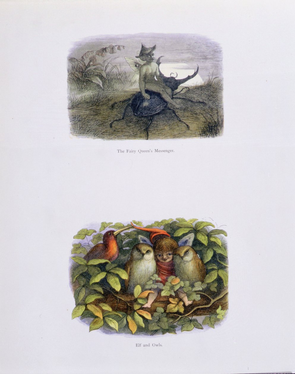 A tündérkirálynő hírnöke, valamint az Elf és a baglyok, illusztrációk William Allingham és Andrew Lang „Tündérországban: Képek sorozata az elf-világból” című művéből alkotó: Richard Doyle