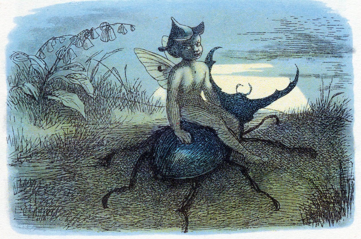 A tündérkirálynő hírnöke, 1870 alkotó: Richard Doyle