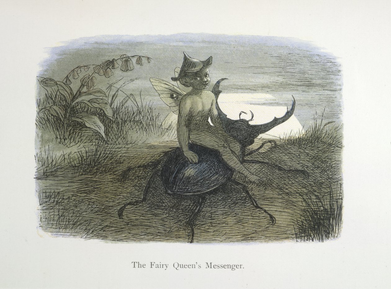 A Tündérkirálynő hírnöke alkotó: Richard Doyle