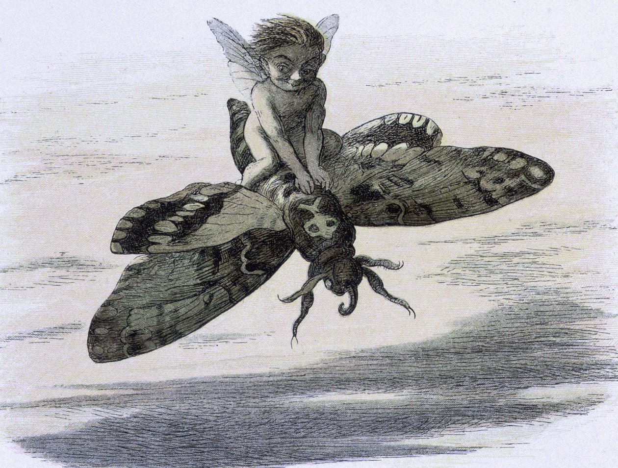 Un elfe chevauchant un papillon. Illusztráció: Richard Doyle gumiabroncs ""Tündérországban". Képsorozat az elf világból"" accompagnee d