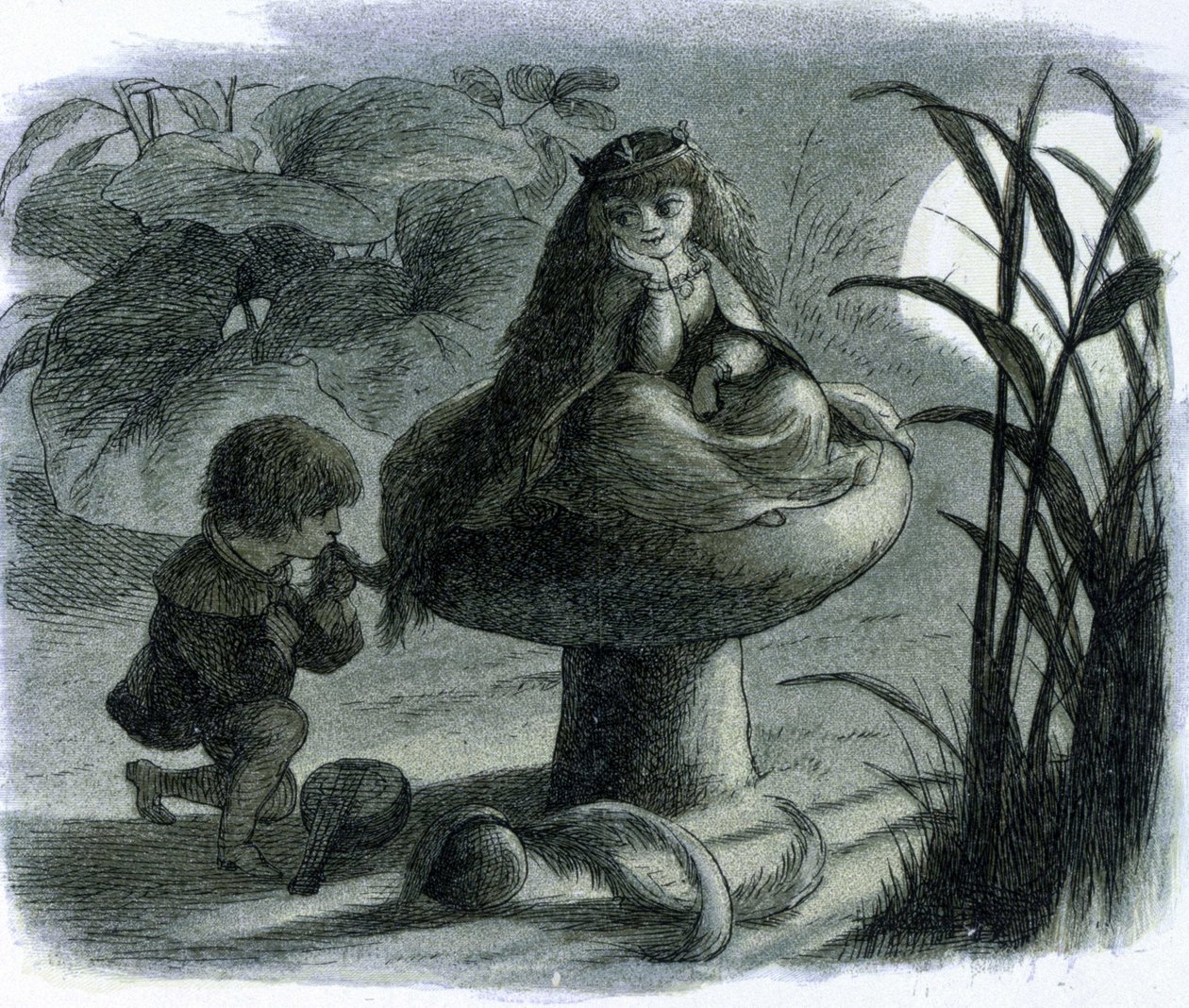 A gombán ülő vízitündérnek egy szerető udvarol. Richard Doyle "Tündérek világa" című művében alkotó: Richard Doyle