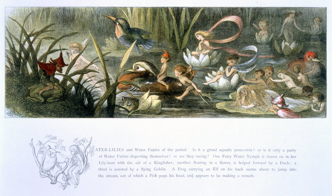 Tavirózsa és vízi tündérek, illusztráció: William Allingham és Andrew Lang „Tündérországban: Képek sorozata az elf-világból” alkotó: Richard Doyle