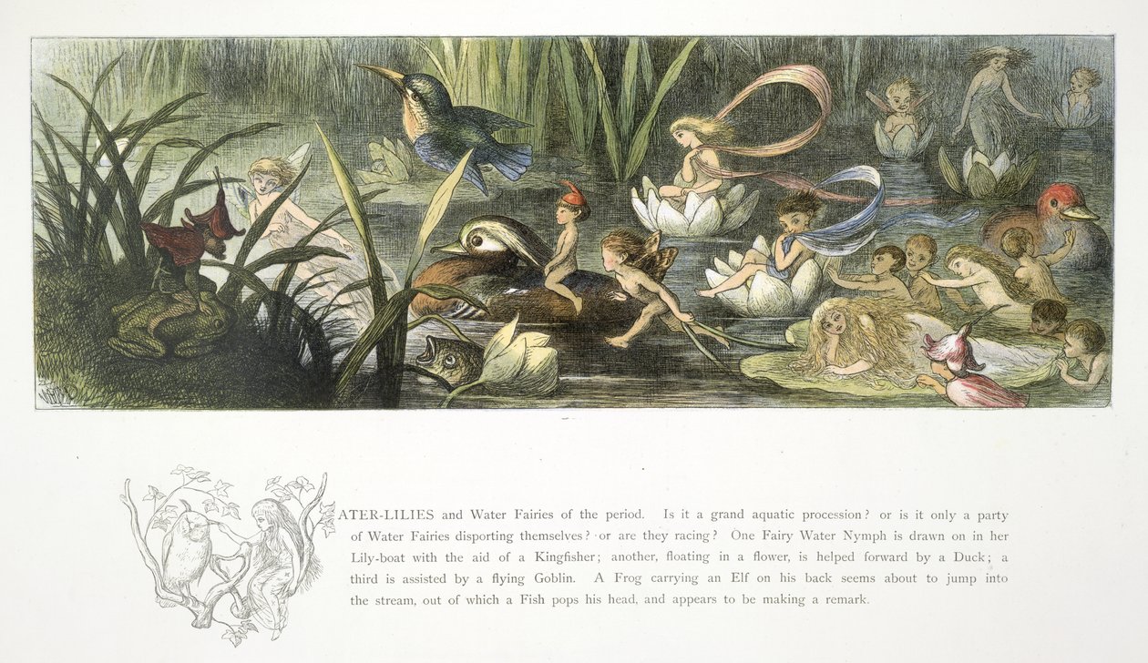 Tavirózsa és vízitündérek alkotó: Richard Doyle