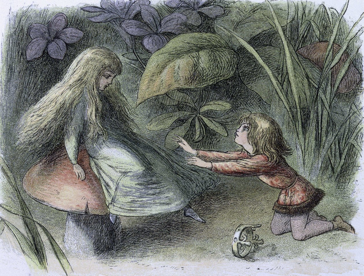 A korszak tavirózsa és vízitündérei, c1869-c1870 (kőnyomat) alkotó: Richard Doyle
