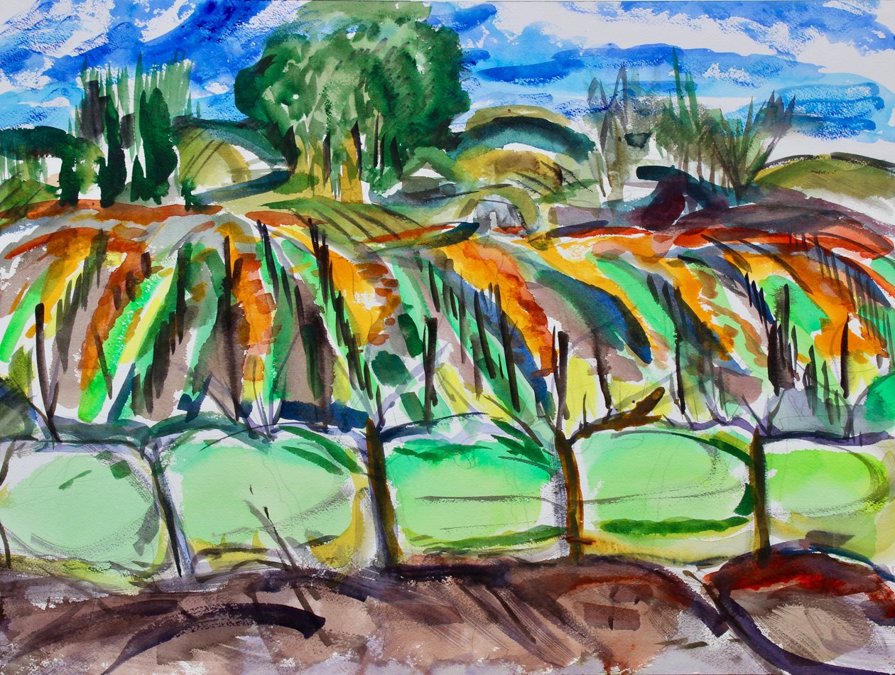 Autumn Vineyards, Napa, 2017 alkotó: Richard Fox