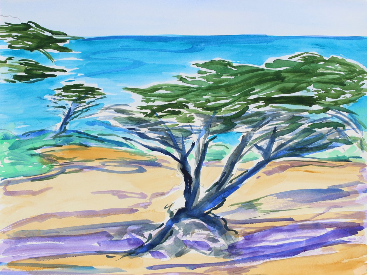 Cypress Tree, Carmel Bay, 2019 alkotó: Richard Fox