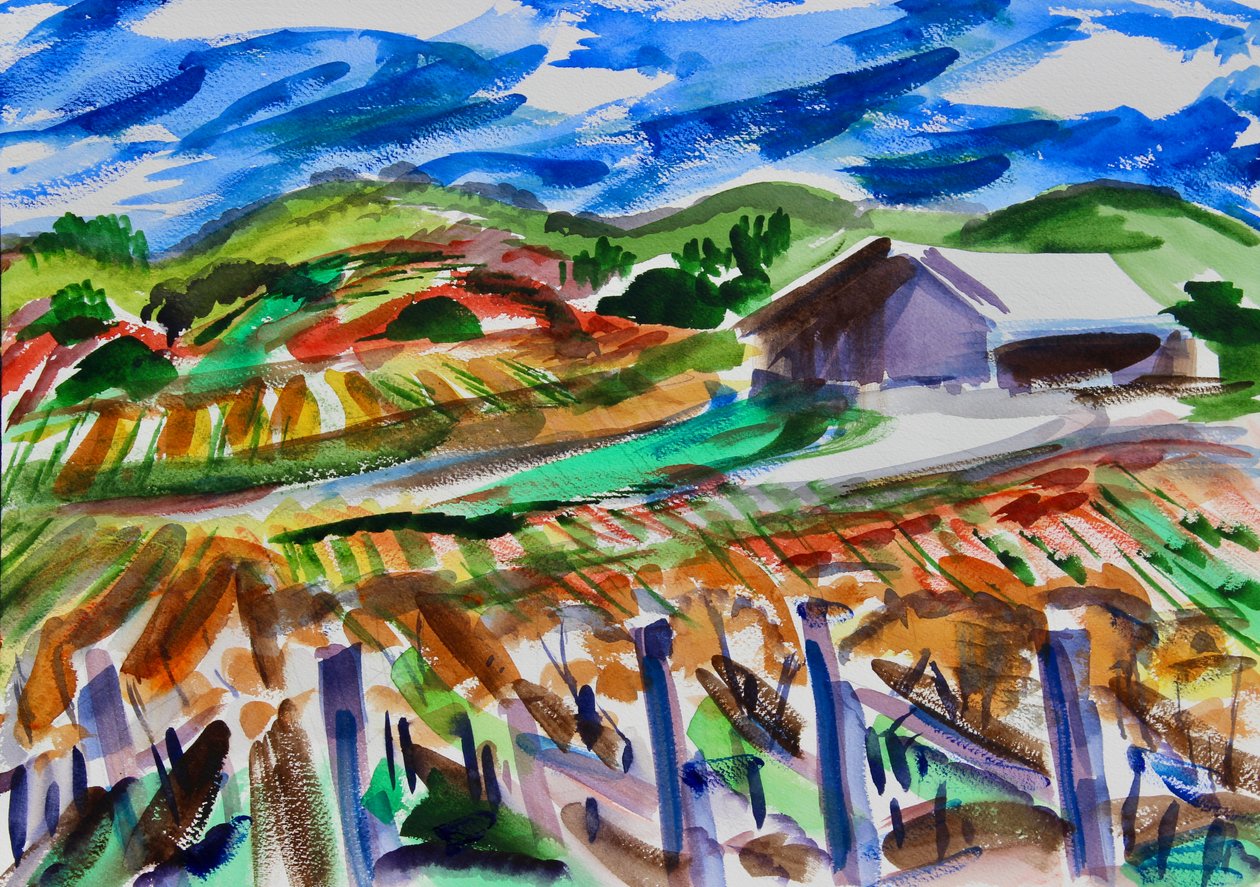 Napa ősszel, 2017 alkotó: Richard Fox