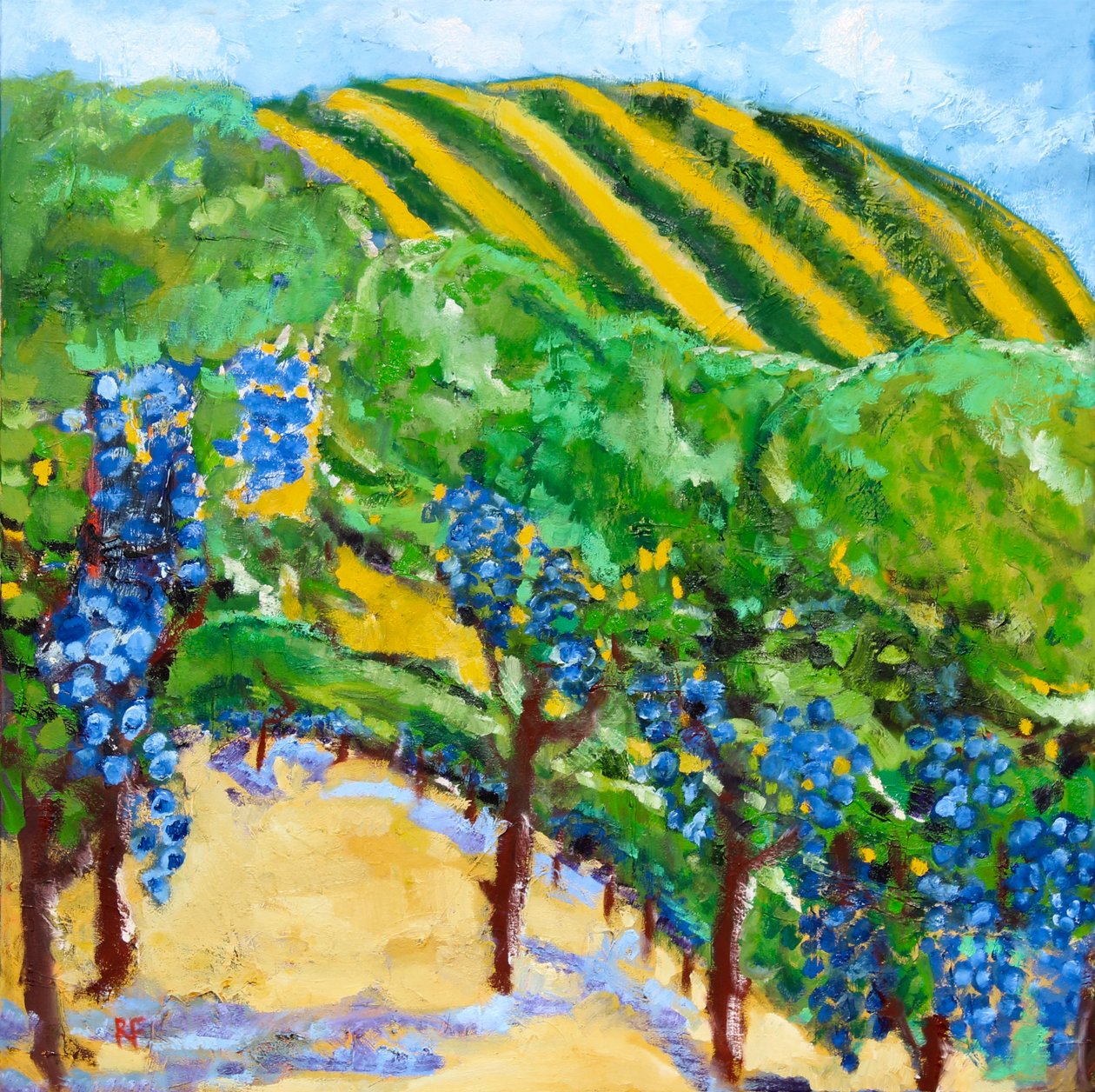 Vineyard és Rolling Hills, 2019 alkotó: Richard Fox