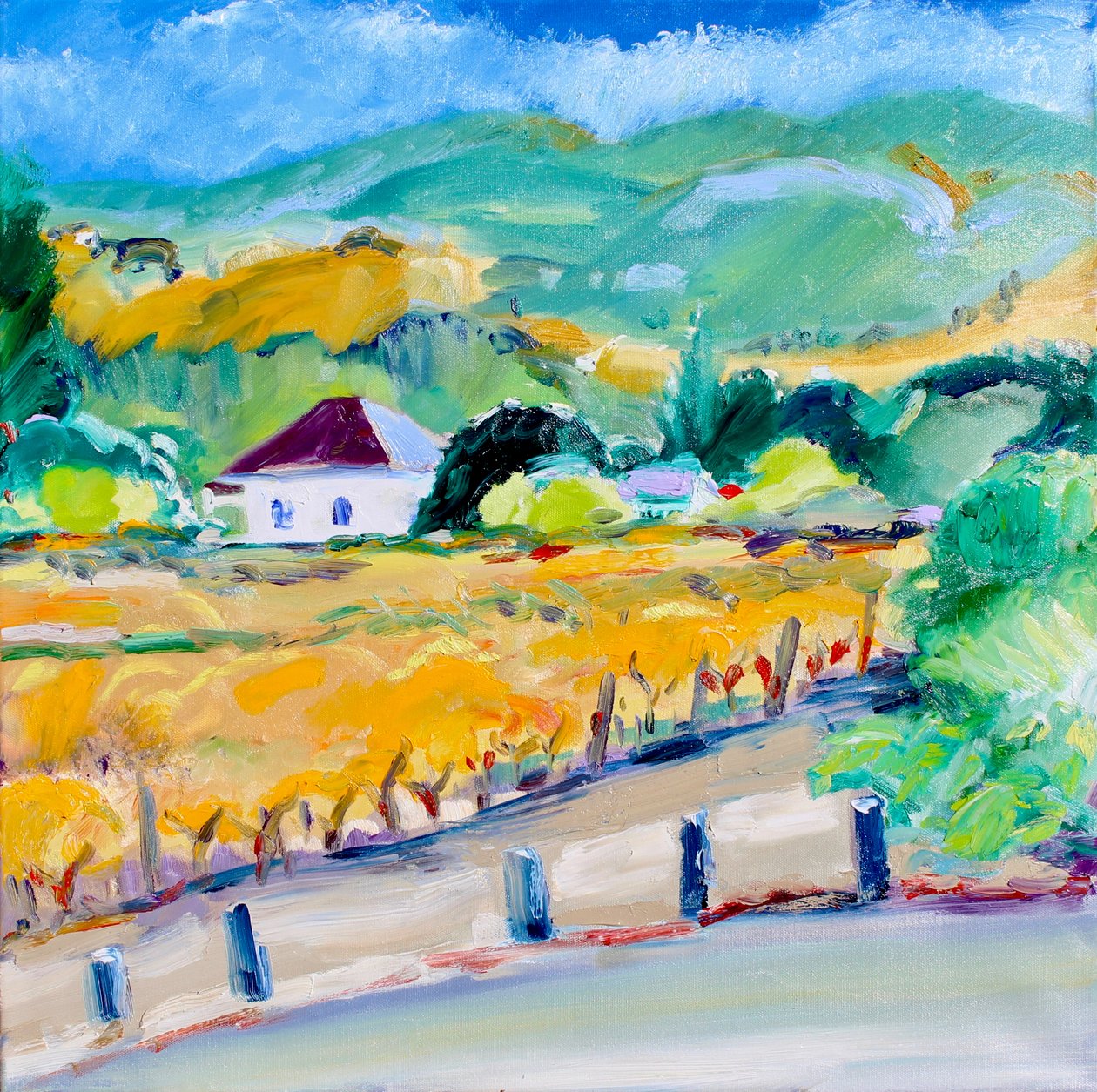 Vineyard in Autumn, Napa, 2020 alkotó: Richard Fox
