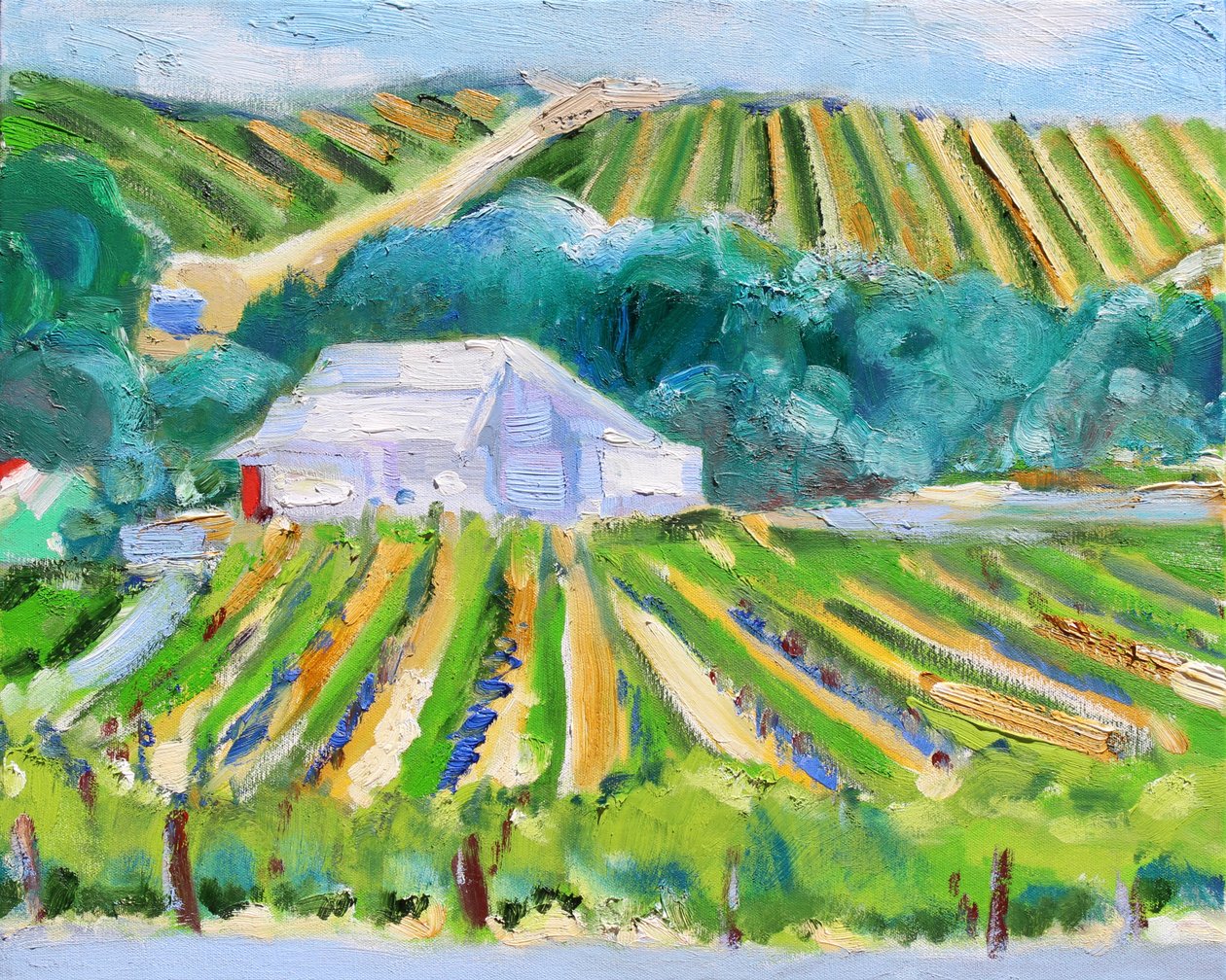 White Barn and Vineyard, Napa, 2019 alkotó: Richard Fox