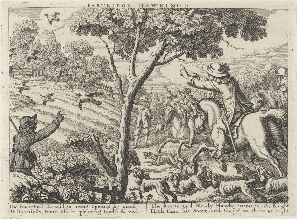 Jacht op patrijsvogels Partridge Hawking (cím a tárgyon) Jachtpartijen (sorozat címe) A vadászat, a hawking és a horgászat többféle módja angolul (sorozat címe) alkotó: Richard Gaywood (possibly)