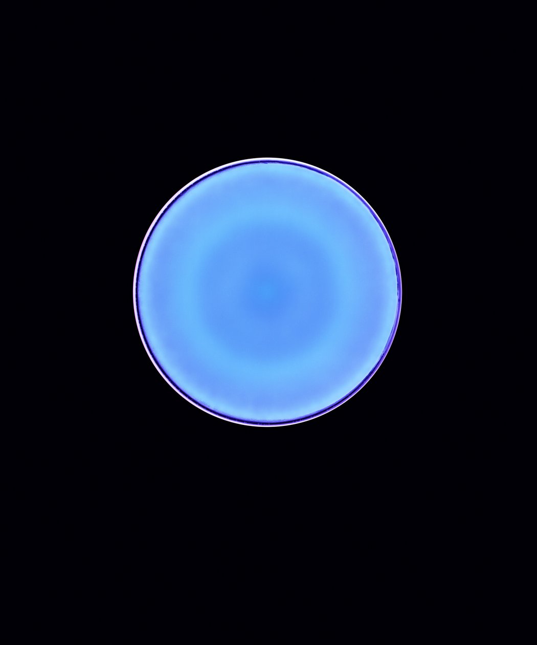 Circle X, 2005 (digitális c-típusú fotogram) alkotó: Richard Green