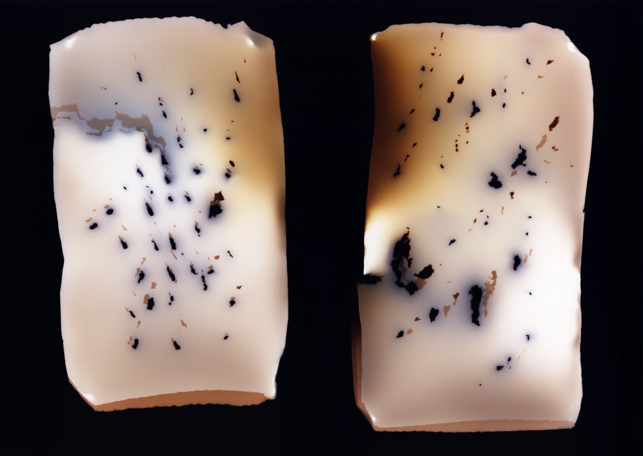 Cím nélkül (kettős tanulmány), 2001 alkotó: Richard Green