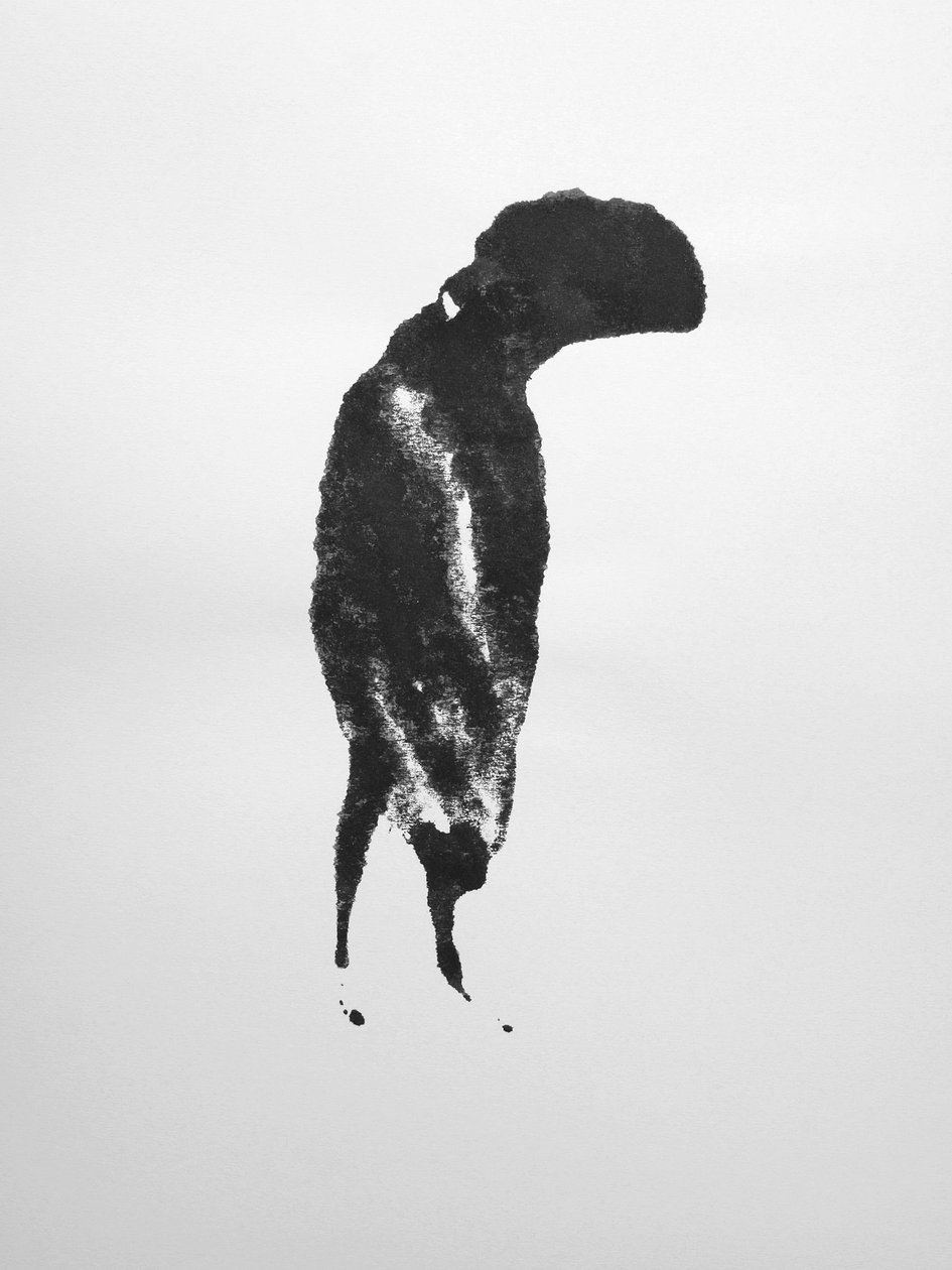 Cím nélkül, 2009 (monotípia) alkotó: Richard Green