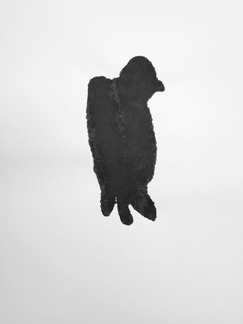 Cím nélkül, 2009 (monotípia) alkotó: Richard Green