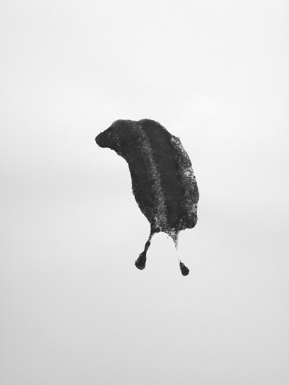 Cím nélkül, 2009 (monotípia) alkotó: Richard Green