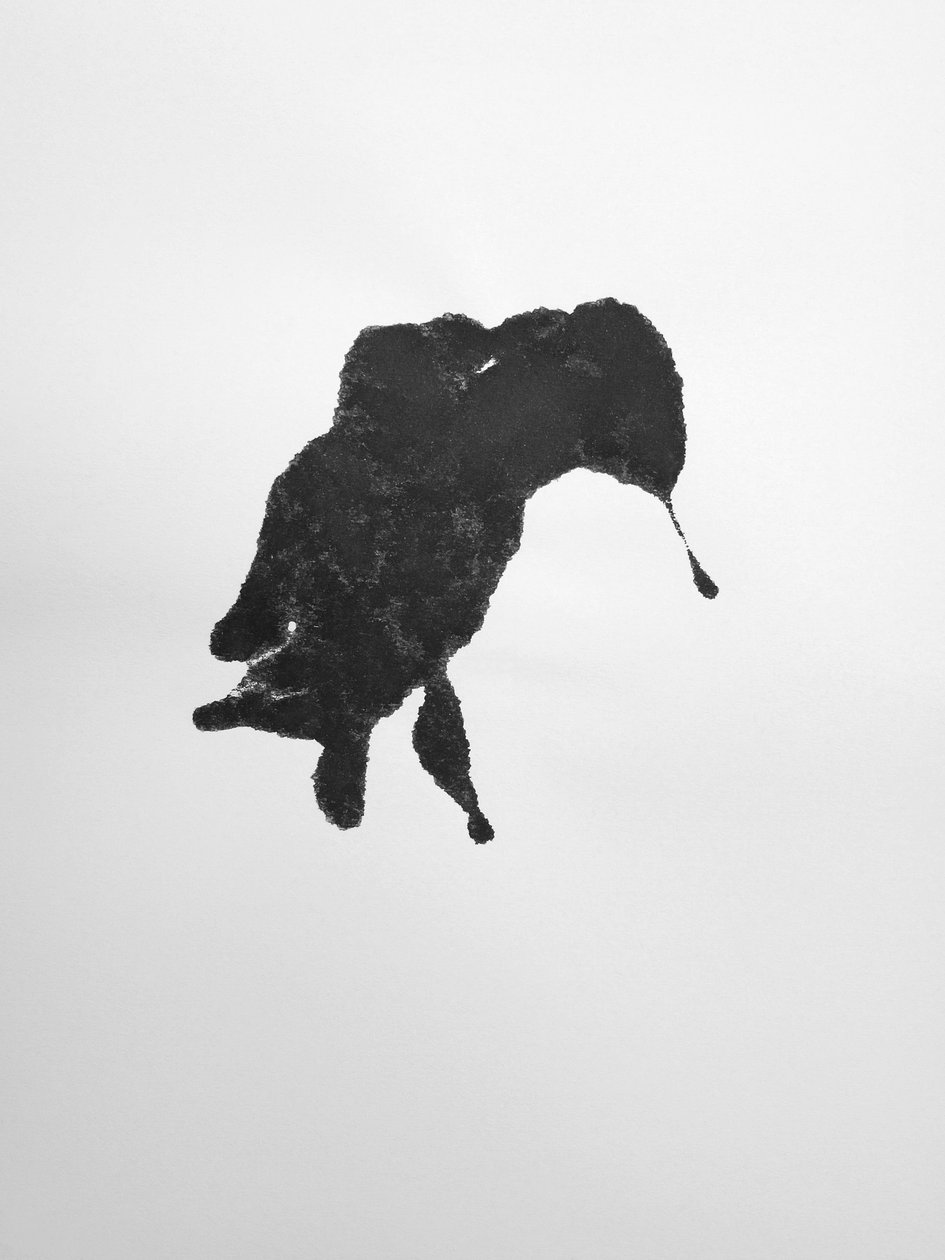 Cím nélkül, 2009 (monotípia) alkotó: Richard Green