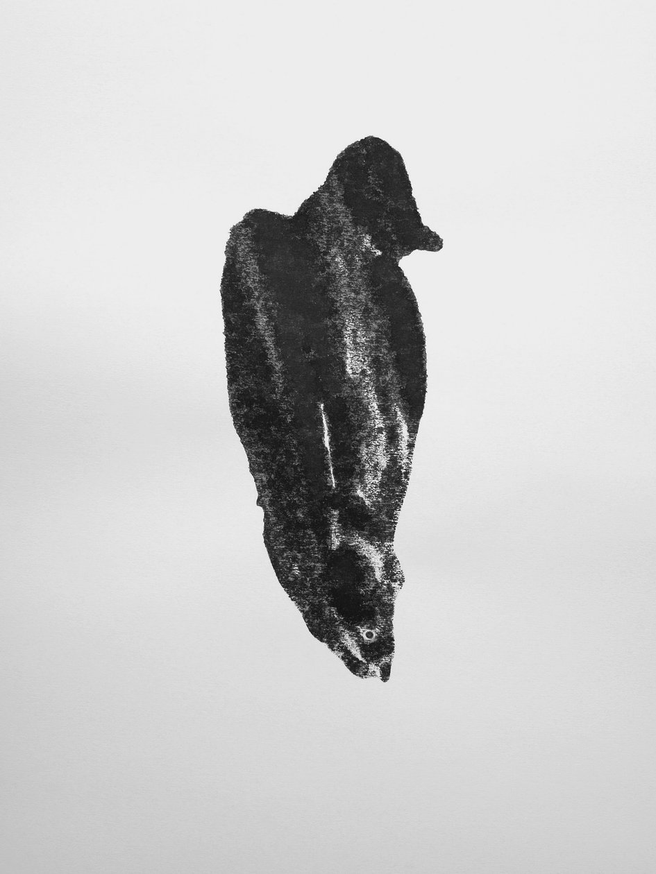 Cím nélkül, 2009 (monotípia) alkotó: Richard Green