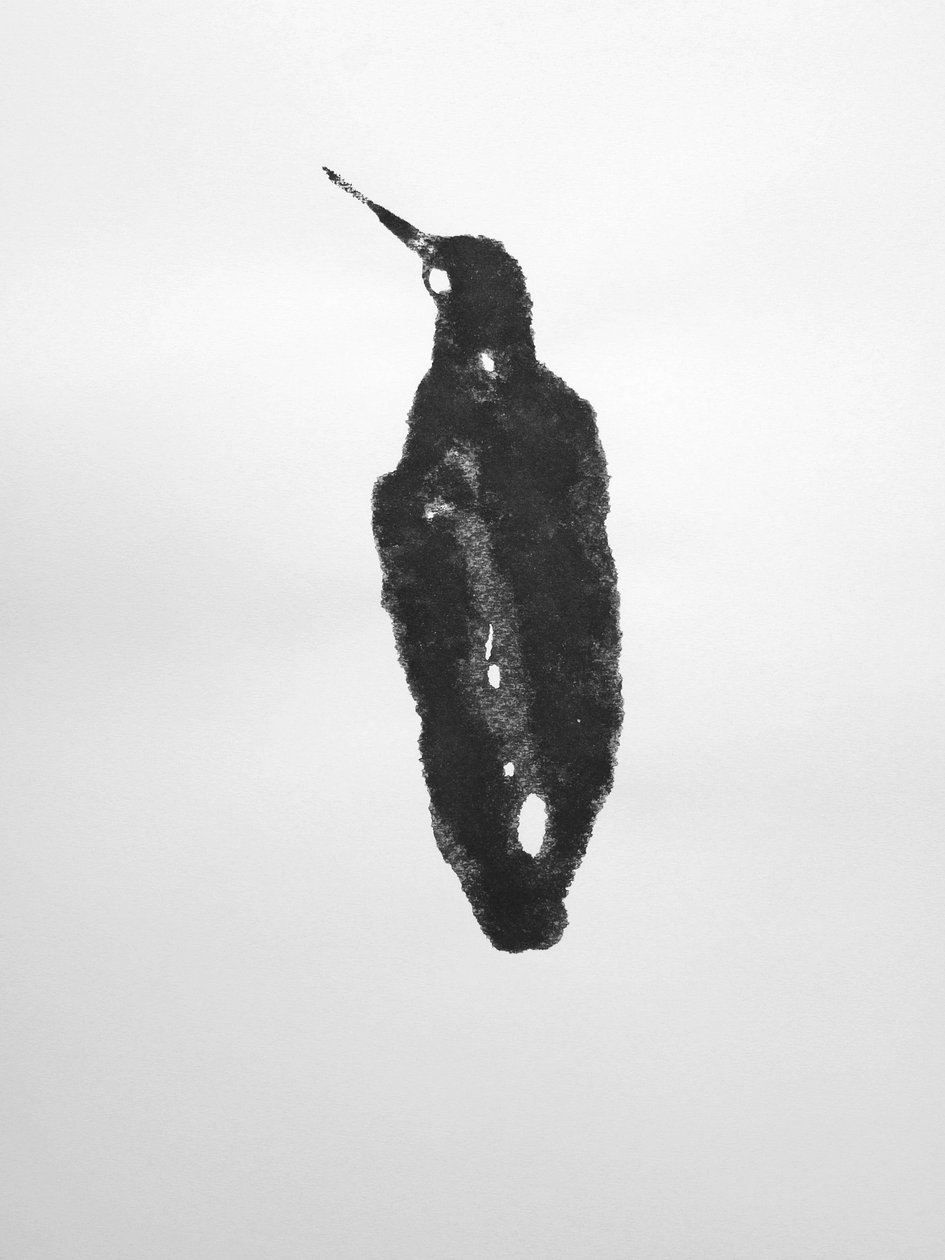 Cím nélkül, 2009 (monotípia) alkotó: Richard Green