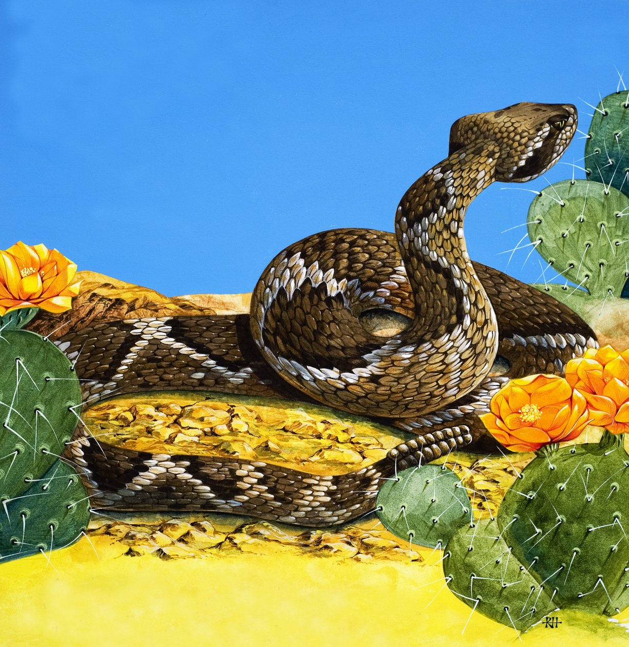 A csörgőkígyó figyelmeztetése, a "Volt egyszer egy nap"-ból (gouache, papír) alkotó: Richard Hook