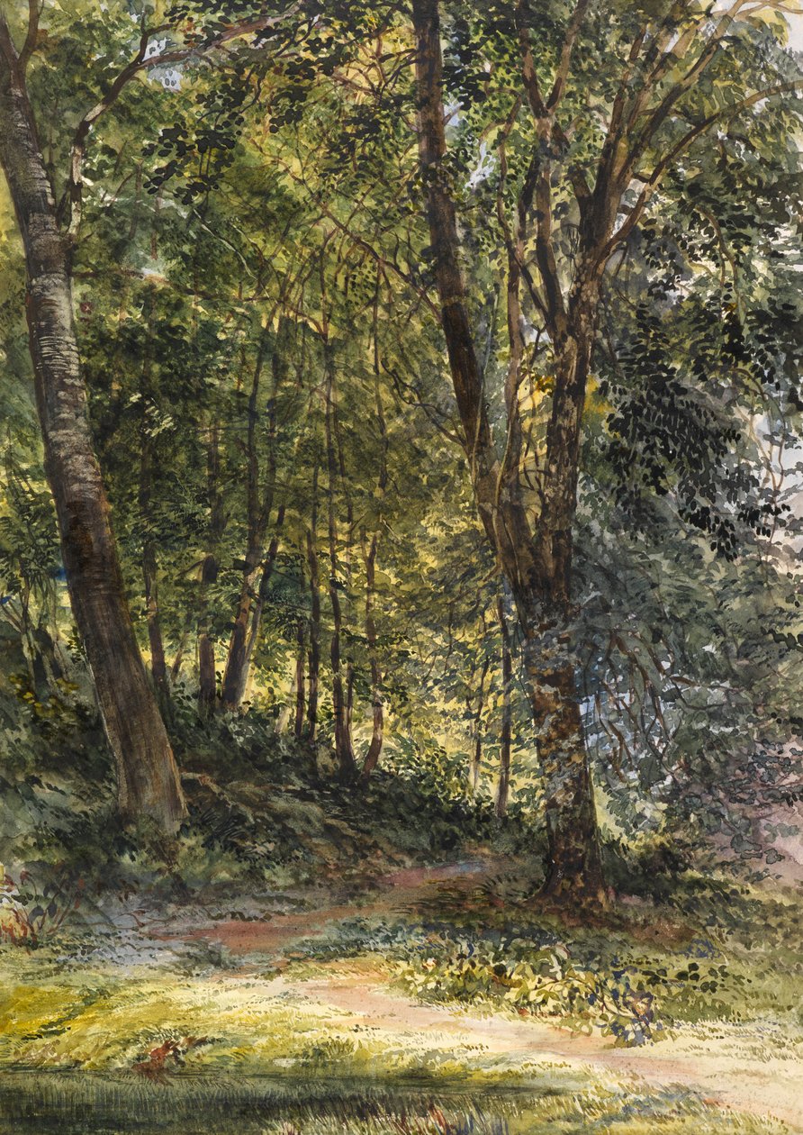 Sun Dappled Woods, Surrey (akvarell és testfesték) alkotó: Richard Redgrave