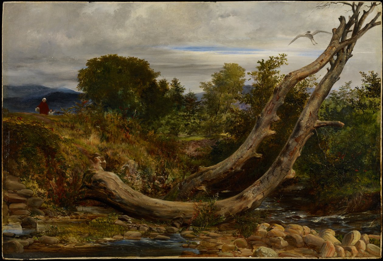 The Heron Disturbed, 1850 körül (olaj, malomdeszka) alkotó: Richard Redgrave