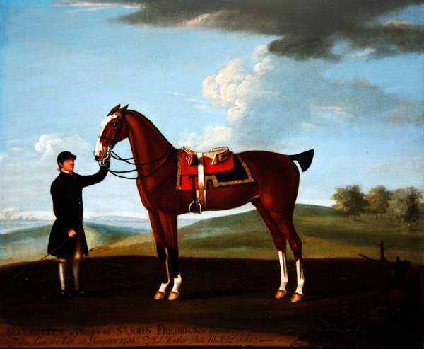 Sir John Frederick öbölvadásza, „Bucephulus”, akit a vőlegénye tart Hamptonban alkotó: Richard Roper